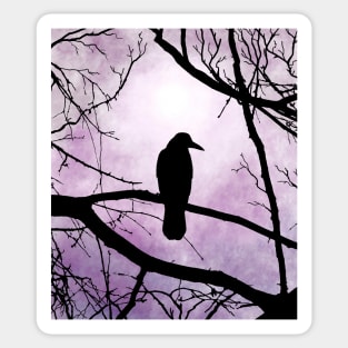 Bird 78 Crow Raven Sticker